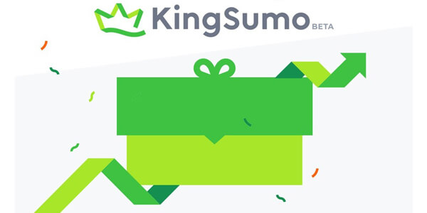 5--کینگ-سیمو-(KingSumo)