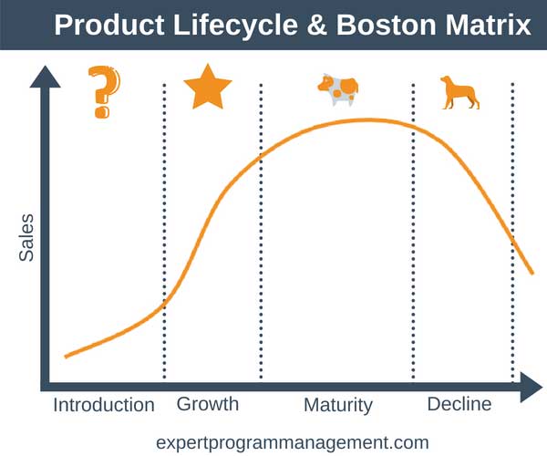 ماتریس-بوستون-و-چرخه-عمر-محصول